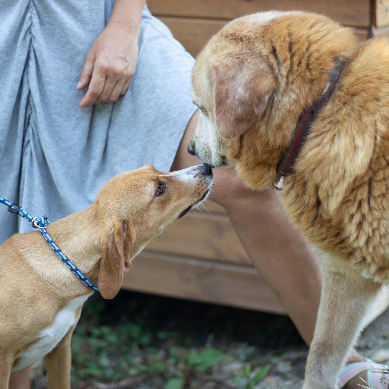 295560208_386295113529643_6054303621061463998_n 295560208_386295113529643_6054303621061463998_n