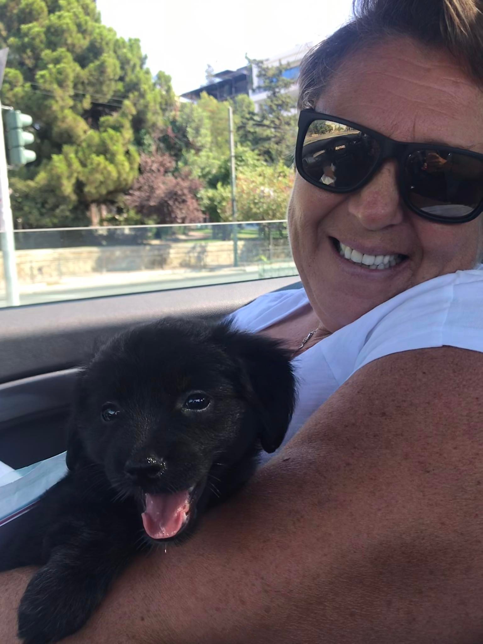 297195238_729778774988054_7093829982034492229_n 297195238_729778774988054_7093829982034492229_n